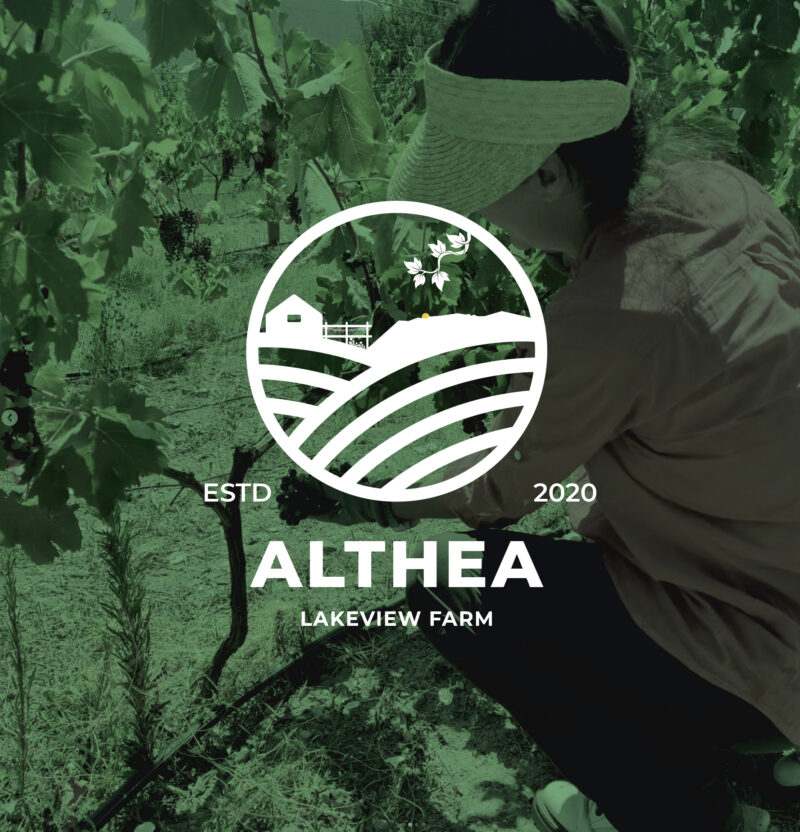 Althea - 1