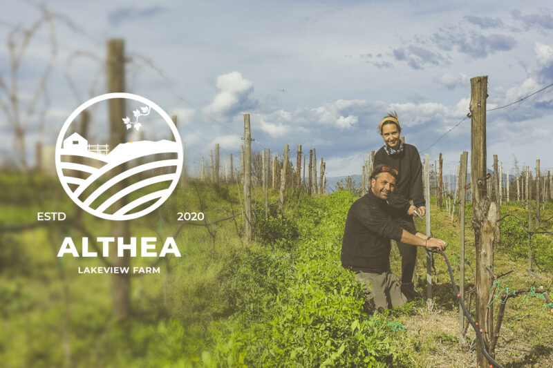 Althea - 3